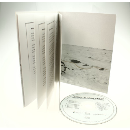 CD im DVD Digifile mit...